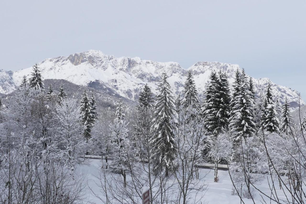Ferienwohnung Haus Elisabeth, Rossfeldalm Berchtesgaden Exterior foto
